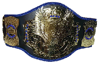 Championship belt, trophy belt