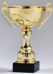 powerlifting trophy,awards