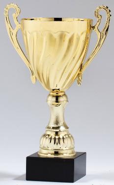 powerlifting trophy,awards